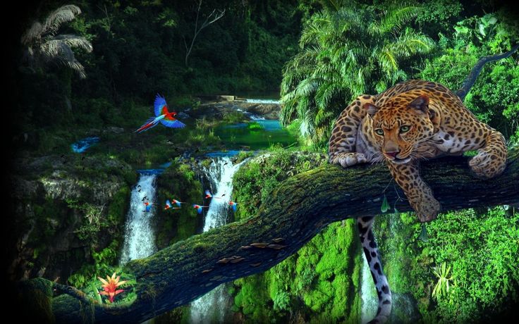 Catedrales Verdes: El Último Refugio de la Biodiversidad